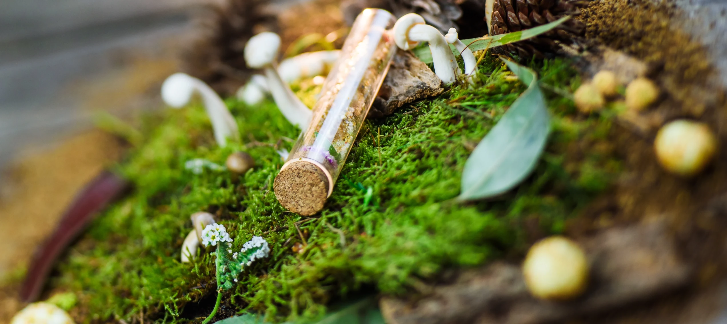 Ingredienti naturali e ricerca gastronomica Enilive