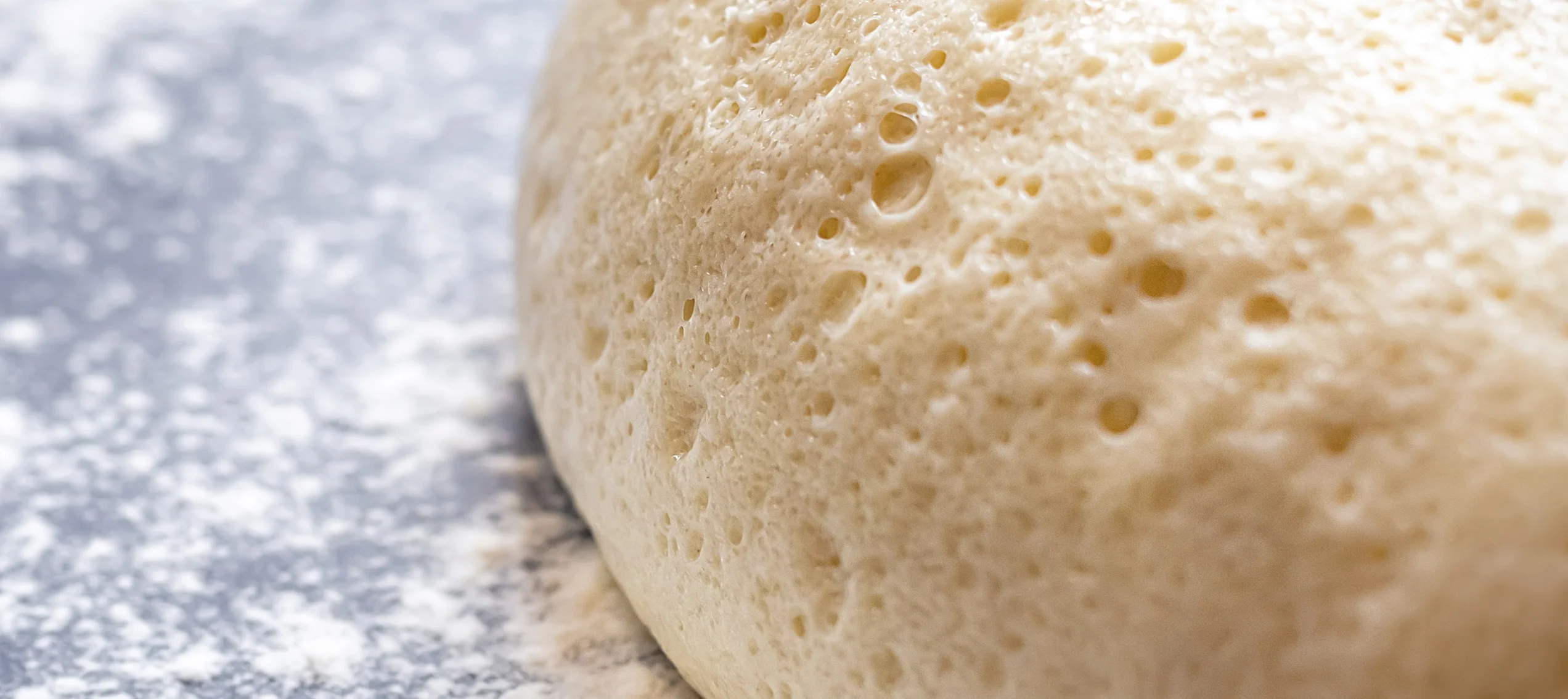 Impasto lievitato per panificazione artigianale Enilive
