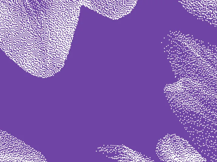 immagine viola con fiori donne per strada Enilive